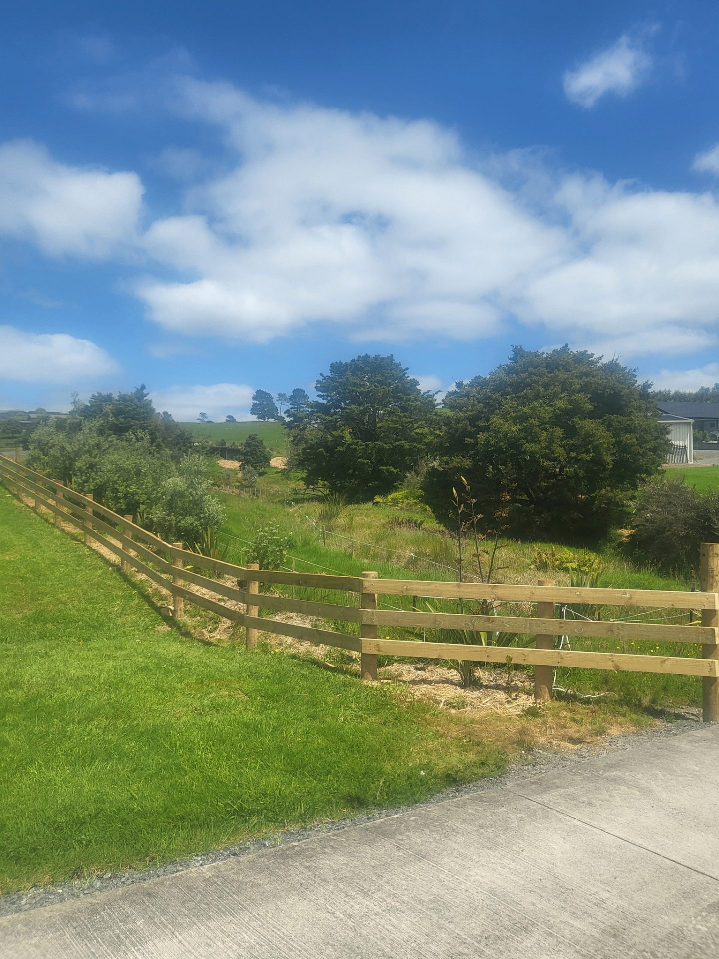 Completed timber fencing installation with curved roadside boundary